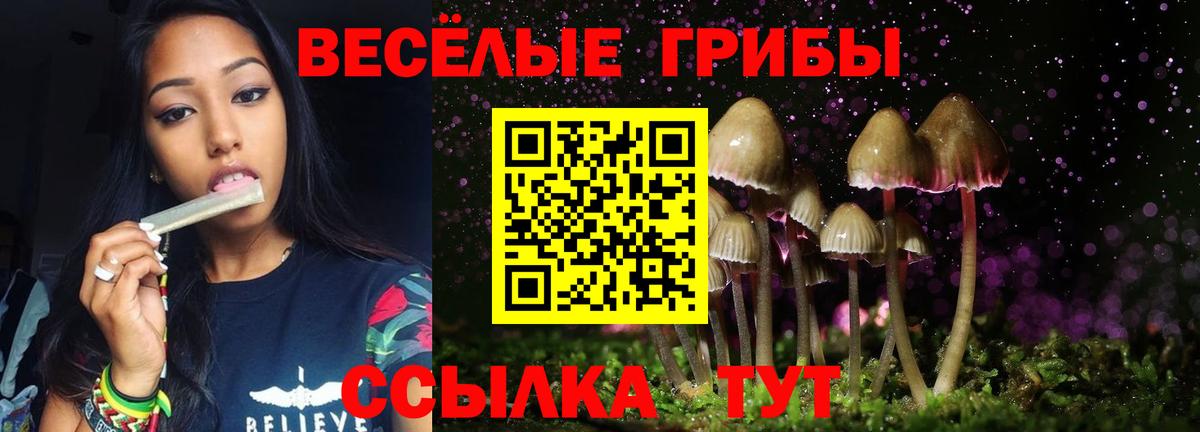 Псилоцибиновые грибы мухоморы Кызыл